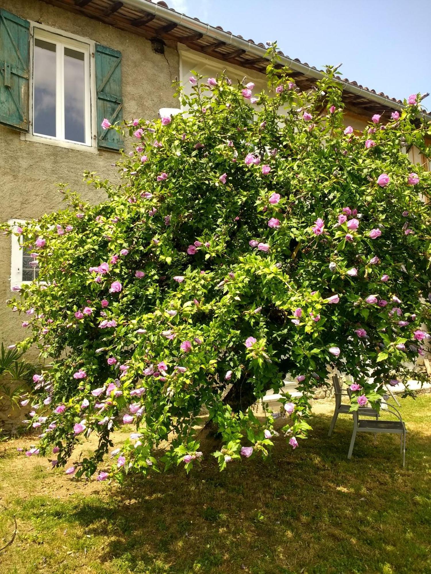 Pyrenees Vue Gite - Vues Fantastique, Parking Gratuit Sur Place & Piscine Сен-Годенс Экстерьер фото